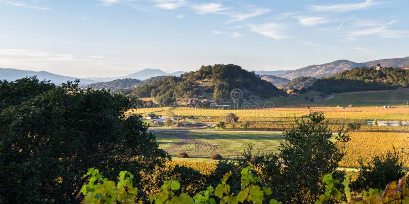 View of the valley from an elevated viewpoint showing beautiful vineyards glowing with autumn colors. View of the valley from an elevated viewpoint showing beautiful vineyards glowing with autumn colors