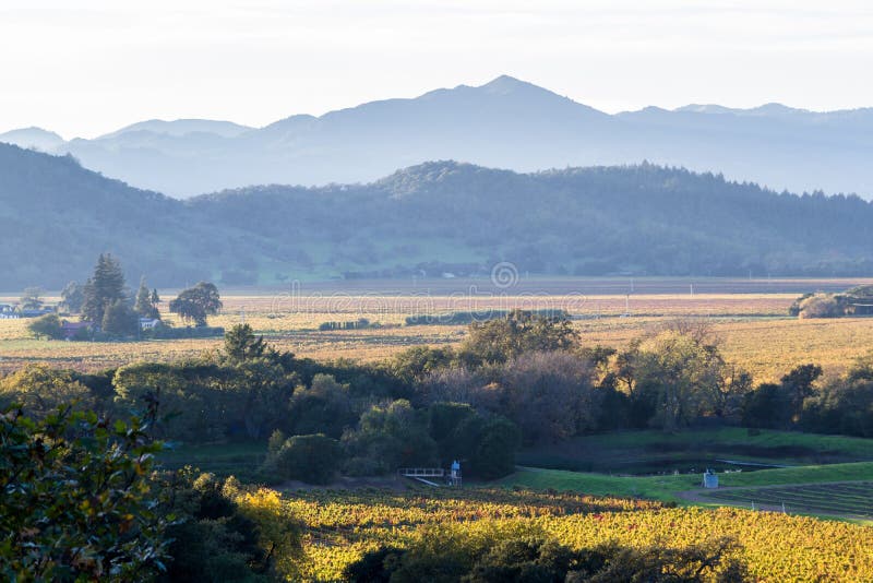 View of the valley from an elevated viewpoint showing beautiful vineyards glowing with autumn colors. View of the valley from an elevated viewpoint showing beautiful vineyards glowing with autumn colors