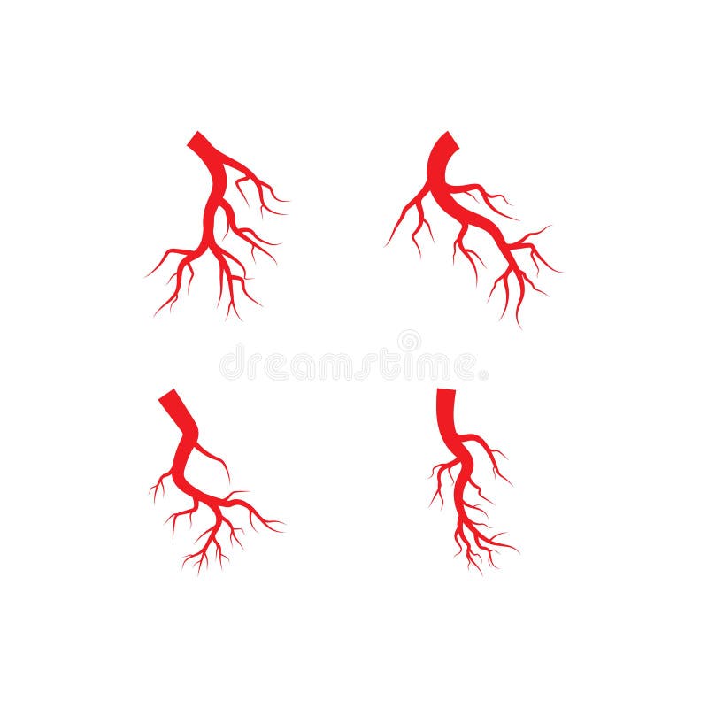 Arterial illustration vector flat design, organ, hospital, aortic, heart, science, aorta, clinic, arteries, liquid, optic, ophthalmic, vessels, veins, logo, flow, ocular, ophthalmology, macro, cardiovascular, biological, line, health, human, red, anatomy, medical, blood, artery, medicine, shape, graphic, system, abstract, image, inside, color, icon, symbol, anatomical, eye, texture, care, background, biology. Arterial illustration vector flat design, organ, hospital, aortic, heart, science, aorta, clinic, arteries, liquid, optic, ophthalmic, vessels, veins, logo, flow, ocular, ophthalmology, macro, cardiovascular, biological, line, health, human, red, anatomy, medical, blood, artery, medicine, shape, graphic, system, abstract, image, inside, color, icon, symbol, anatomical, eye, texture, care, background, biology