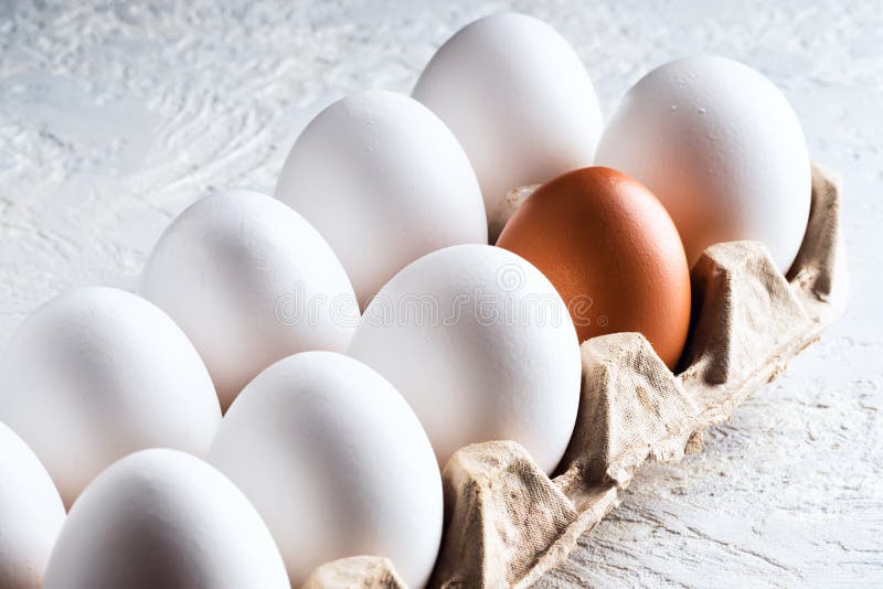 Pack egg white and one beige brown Concept harmful unnatural different other racism nationalism war opposition resistance. Pack egg white and one beige brown Concept harmful unnatural different other racism nationalism war opposition resistance