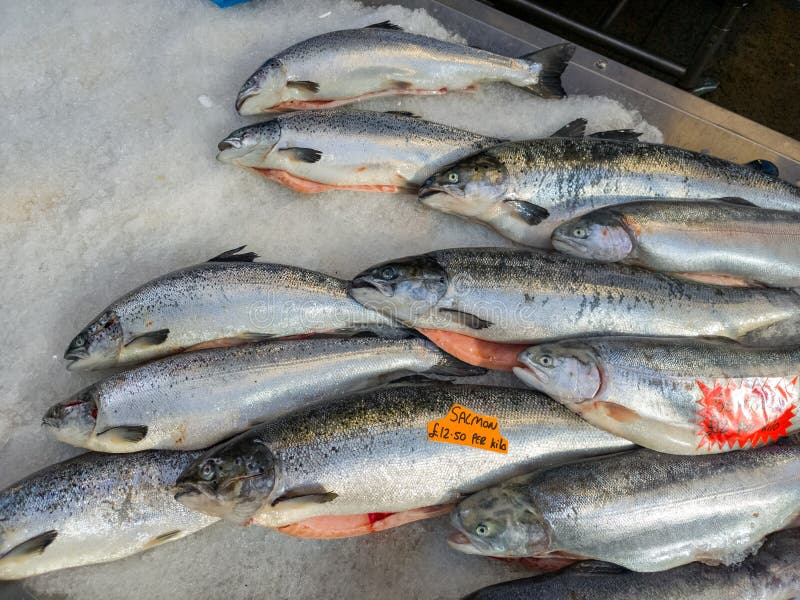 在北爱尔兰贝尔法斯特圣乔治市场出售新鲜鱼类和海鲜 免版税库存图片