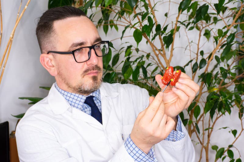 内分泌医生在会诊时向患者展示解剖模型上的甲状旁腺。甲状旁腺的诊断和治疗 免版税图库摄影