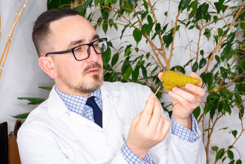 医生和胰腺。医生在就诊时向患者展示胰腺的解剖模型，指出可能存在病理或 库存图片