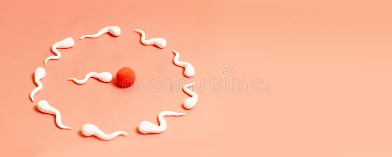医疗概念 人的精液和卵子图 免版税库存图片