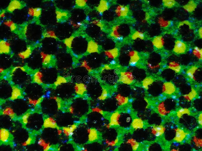 Light photomicrograph of colour halftone print dots seen through a microscope. Light photomicrograph of colour halftone print dots seen through a microscope