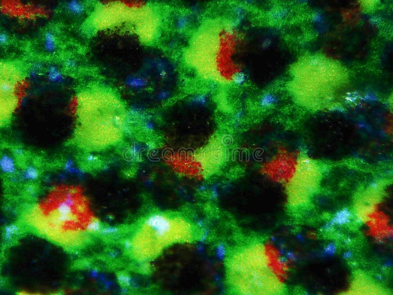 Light photomicrograph of colour halftone print dots seen through a microscope. Light photomicrograph of colour halftone print dots seen through a microscope