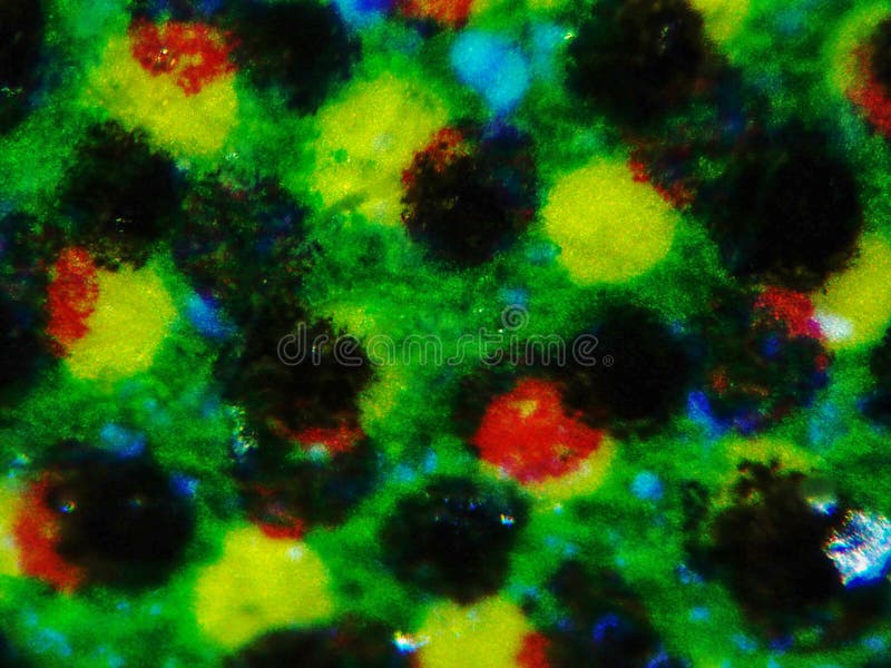 Light photomicrograph of colour halftone print dots seen through a microscope. Light photomicrograph of colour halftone print dots seen through a microscope