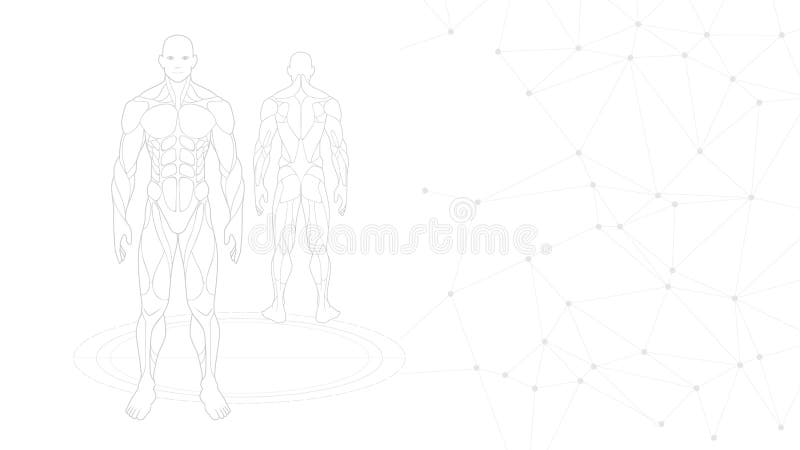 半音灰色白色墙纸背景 塑造外形形状人体解剖学霓虹全息图被射出在白色背景,科学幻想小说i 库存例证 半音灰色白色墙纸背景 塑造外形形状人体解剖学霓虹全息图被射出在白色背景,科学幻想小说i 库存例证