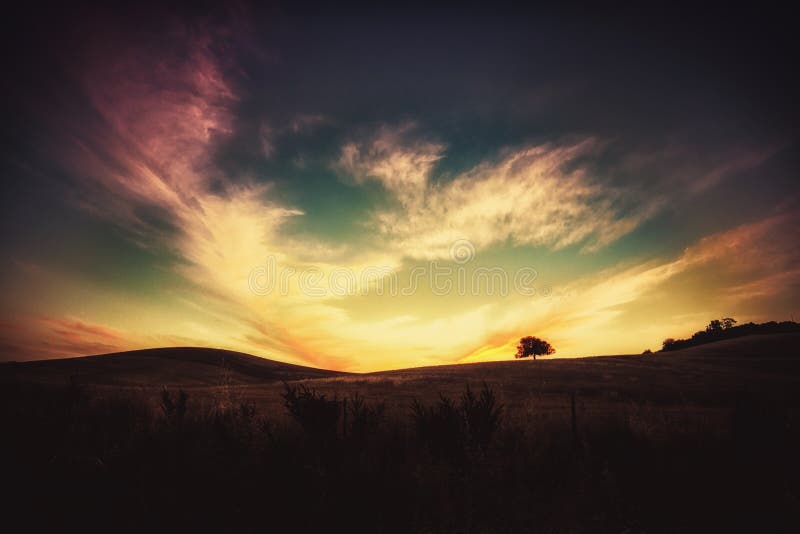 A solitary tree at sunset among the clouds scattered and colors. A solitary tree at sunset among the clouds scattered and colors