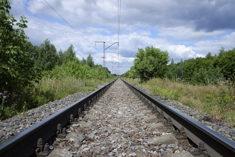 Perspective of an electrified single-track railway going through the forest. Sunny summer view. Perspective of an electrified single-track railway going through the forest. Sunny summer view.