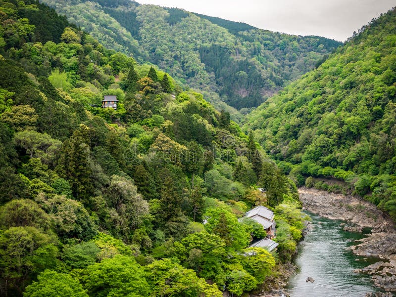 卡楚拉河和樱花在Arashiyama,京都,日本 库存图片 卡楚拉河和樱花在Arashiyama,京都,日本 库存图片