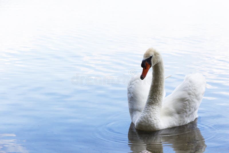 å°åº¦å¥³äººèµ°åœ¨è¡—ä¸Šï¼ŒæŠ¬ç€æ²‰é‡çš„电缆å·å¤´ã€‚å°åº¦å–œé©¬å•尔邦希姆拉-2019å¹´7月20日:å°åº¦å¥³äººèµ°åœ¨è¡—ä¸ 免版税库存图片 å°åº¦å¥³äººèµ°åœ¨è¡—ä¸Šï¼ŒæŠ¬ç€æ²‰é‡çš„电缆å·å¤´ã€‚å°åº¦å–œé©¬å•尔邦希姆拉-2019å¹´7月20日:å°åº¦å¥³äººèµ°åœ¨è¡—ä¸ 免版税库存图片