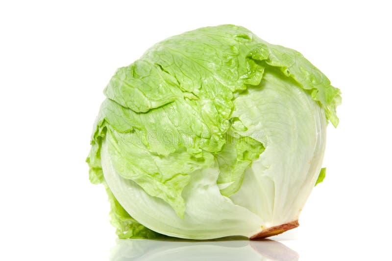 A green fresh iceberg lettuce isolated over white. A green fresh iceberg lettuce isolated over white