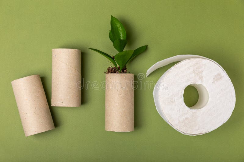 Empty toilet paper roll. Rolls of toilet paper on background. Paper tube of toilet paper. Place for text. Copy space. Flat lay. Eco-friendly reuse recycle. Empty toilet paper roll. Rolls of toilet paper on background. Paper tube of toilet paper. Place for text. Copy space. Flat lay. Eco-friendly reuse recycle