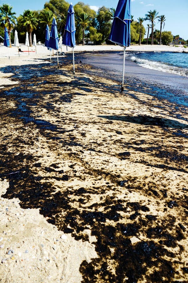 原油溢出纹理在沙子海滩从漏油事故,贴水Kosmas海湾,雅典,希腊, 2017年9月14日的 库存照片 原油溢出纹理在沙子海滩从漏油事故,贴水Kosmas海湾,雅典,希腊, 2017年9月14日的 库存照片