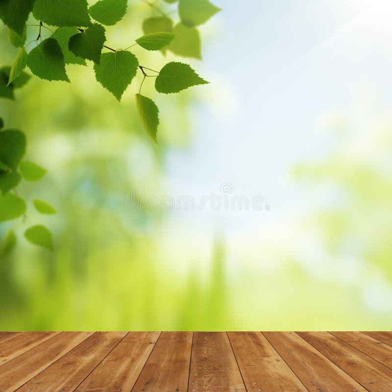 反对秀丽自然本底的木书桌 免版税库存照片