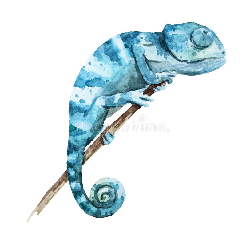 Beautiful vector image with nice watercolor chameleon. Beautiful vector image with nice watercolor chameleon