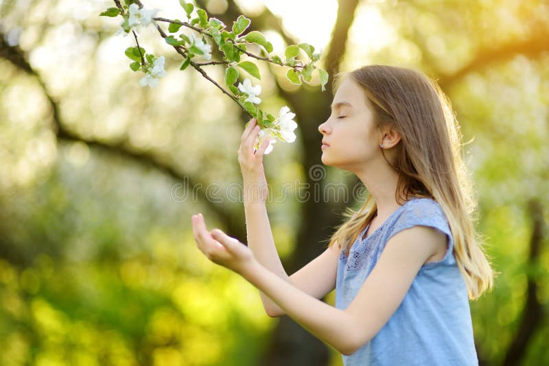 可爱的小女孩在开花的苹果树庭院里在美好的春日 免版税库存照片 可爱的小女孩在开花的苹果树庭院里在美好的春日 免版税库存照片