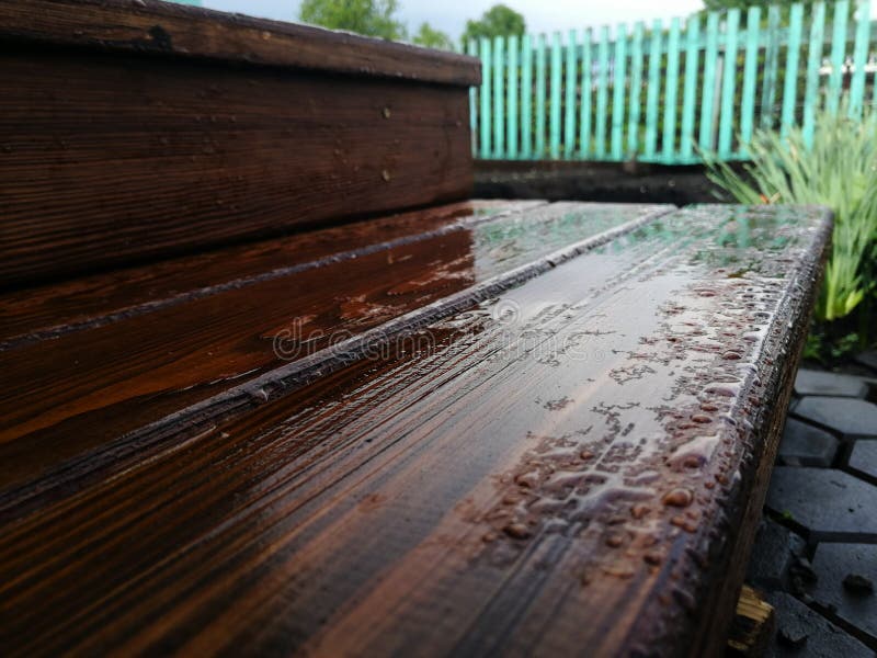 Rainy morning on the steps. Beauty is hidden in the minutiae of our daily life. Rainy morning on the steps. Beauty is hidden in the minutiae of our daily life