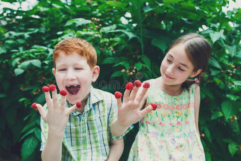 Happy children eating berries from fingers in summer garden. Redhead funny boy and girl, sister and brother having fun outdoors in raspberry cane. Healthy food for kids. Happy children eating berries from fingers in summer garden. Redhead funny boy and girl, sister and brother having fun outdoors in raspberry cane. Healthy food for kids