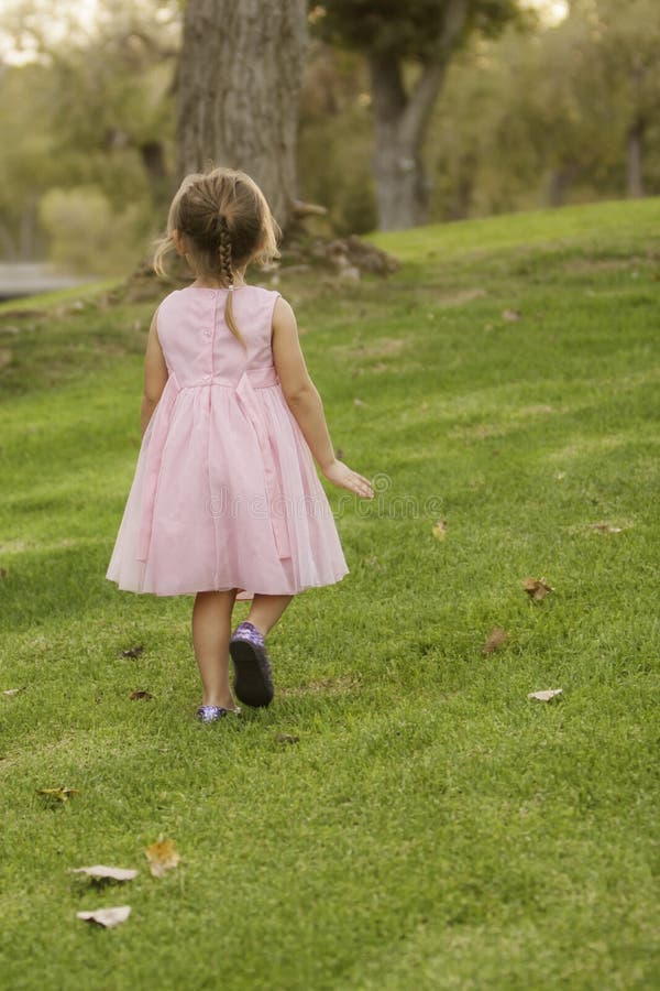 Back of a pretty, 3-1/2 year old girl wearing a pastel pink fancy dress, walking on grass at a park. Girl has brown hair pulled back into a braid. Back of a pretty, 3-1/2 year old girl wearing a pastel pink fancy dress, walking on grass at a park. Girl has brown hair pulled back into a braid.