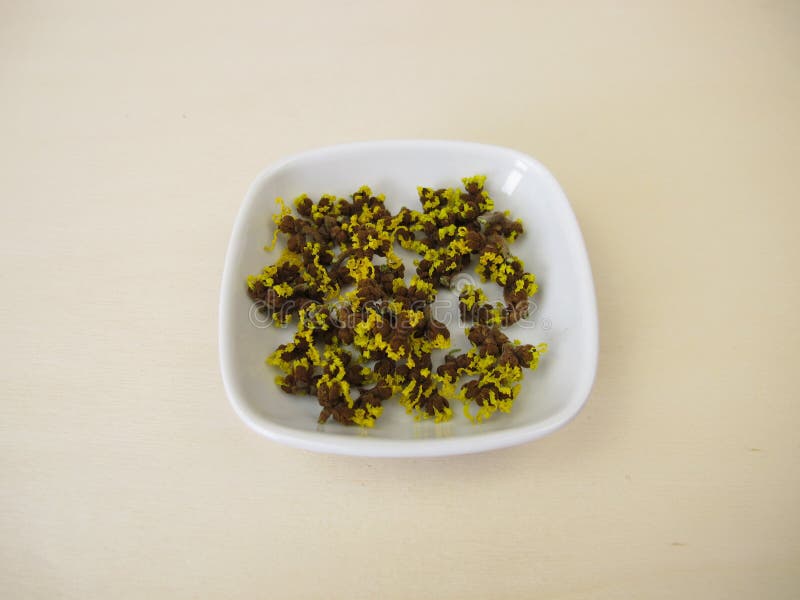 含有柠檬黄的干黑榛花 库存图片