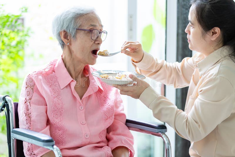喂养资深妇女或母亲轮椅的年轻女性照料者或女儿在退休房子或家，亚裔年长患者 免版税图库摄影