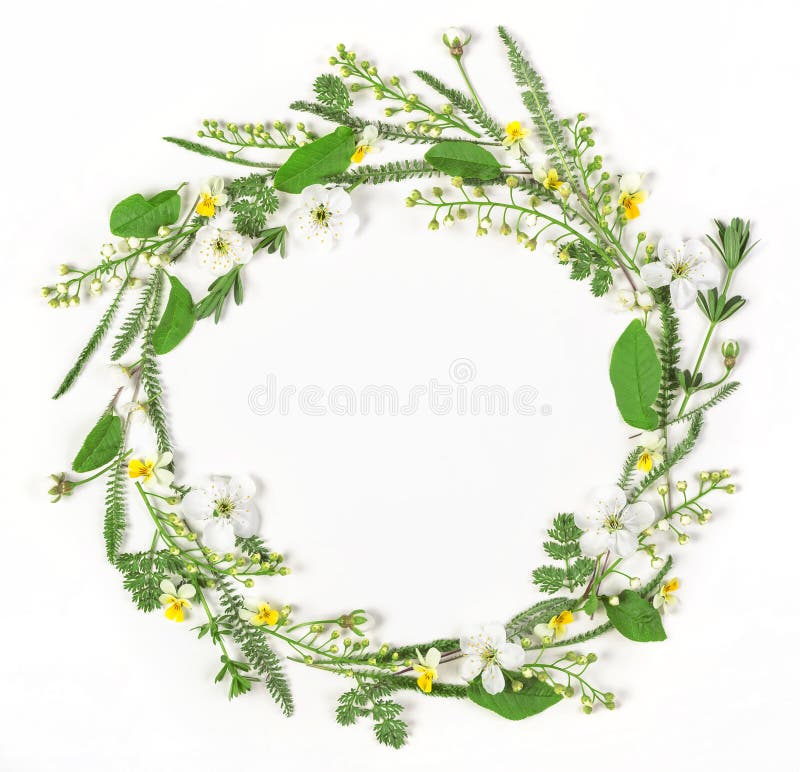 Round frame wreath made of spring flowers and leaves isolated on white background. Flat lay. Top view. Round frame wreath made of spring flowers and leaves isolated on white background. Flat lay. Top view.
