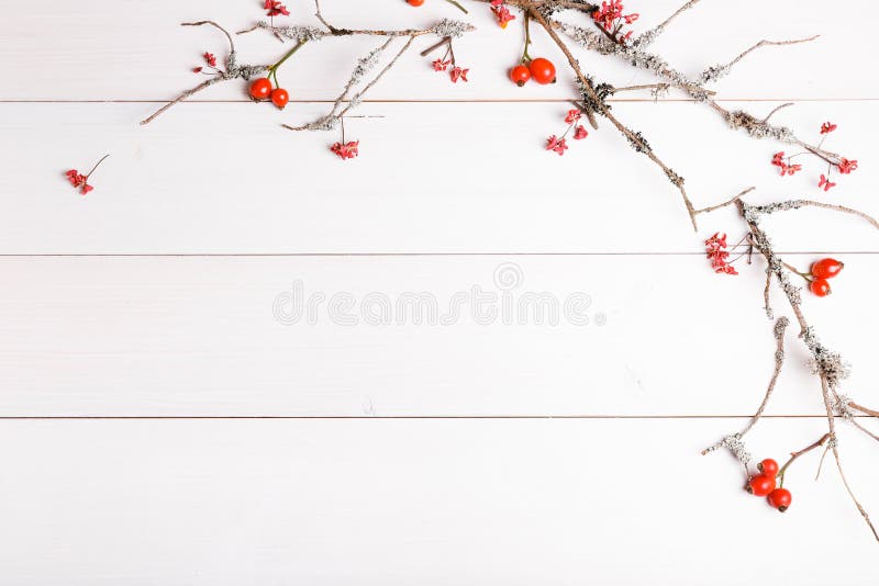 圣诞节、新年或者秋天背景、平的位置结构的圣诞节自然装饰品和冷杉分支,莓果,野玫瑰果 库存图片 圣诞节、新年或者秋天背景、平的位置结构的圣诞节自然装饰品和冷杉分支,莓果,野玫瑰果 库存图片