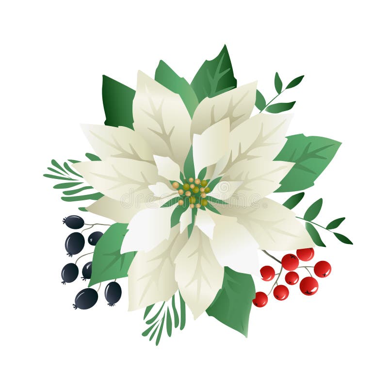 圣诞节一品红花,红色叶子 盖子,邀请,横幅,贺卡 也corel凹道例证向量 向量例证 圣诞节一品红花,红色叶子 盖子,邀请,横幅,贺卡 也corel凹道例证向量 向量例证