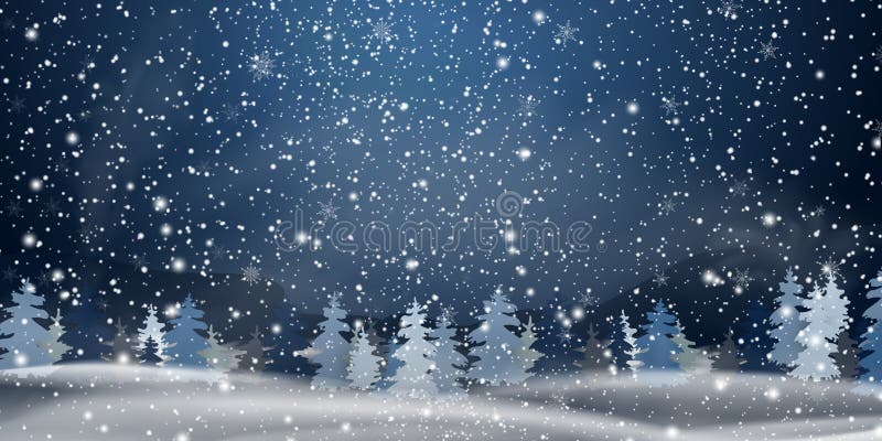 圣诞节，夜斯诺伊森林地风景 背景蓝色雪花白色冬天 假日圣诞快乐的冬天风景与冷杉
