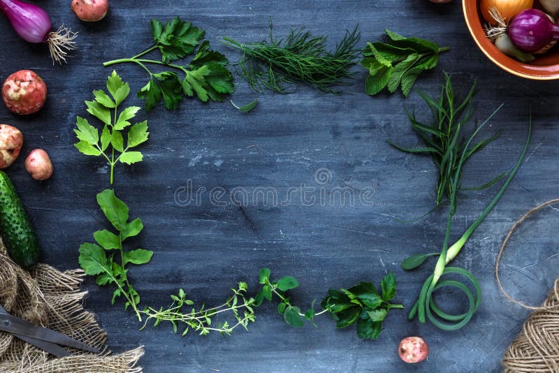 Fresh herbs frame on dark background: parsley, dill, celery, thyme, marjoram lovage tarragon sage. Fresh herbs frame on dark background: parsley, dill, celery, thyme, marjoram lovage tarragon sage