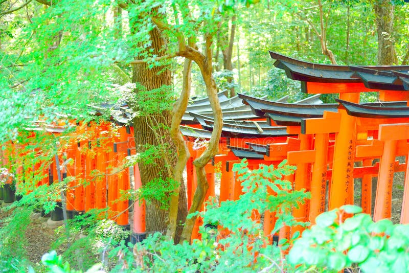 在Fushimi Inari Taisha的红色torii门 在日文写的愿望在岗位 免版税库存照片 在Fushimi Inari Taisha的红色torii门 在日文写的愿望在岗位 免版税库存照片