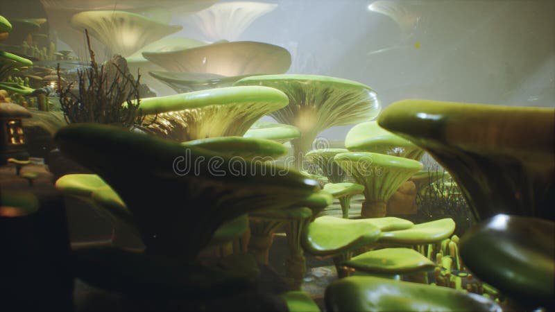在一个不可思议的森林美丽的不可思议的蘑菇在失去的森林里和萤火虫的幻想蘑菇在背景与 库存例证 在一个不可思议的森林美丽的不可思议的蘑菇在失去的森林里和萤火虫的幻想蘑菇在背景与 库存例证