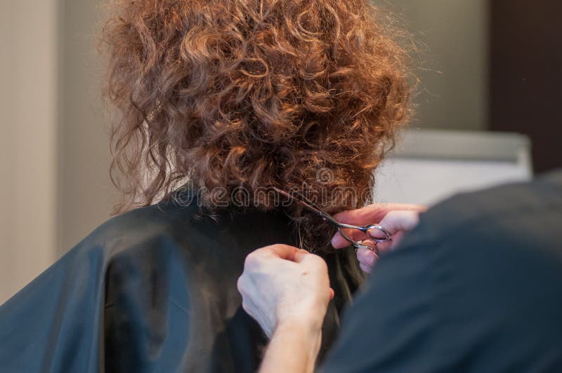 Haircut curly hair on a girl model with dark hair by a master hairdresser with scissors in hand at the marathon of beauty rear view in Chelyabinsk, Hotel Redisson Blu, December 2, 2018. Haircut curly hair on a girl model with dark hair by a master hairdresser with scissors in hand at the marathon of beauty rear view in Chelyabinsk, Hotel Redisson Blu, December 2, 2018