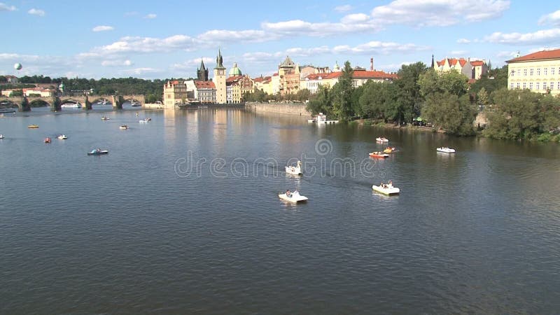 在伏尔塔瓦河河，布拉格的Pedalo旅游业