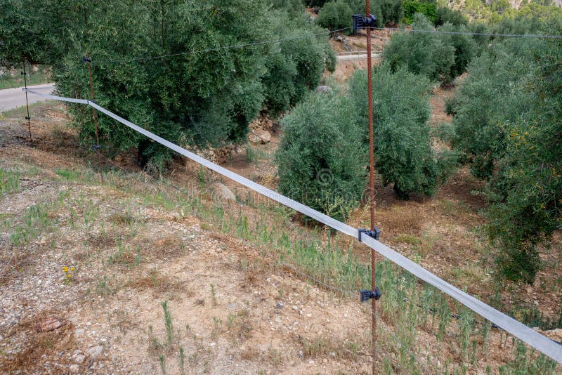 Electrified fence on a farm to prevent livestock from escaping. Electrified fence on a farm to prevent livestock from escaping.