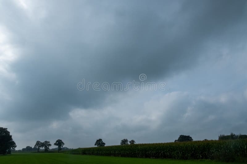 This image depicts a serene countryside landscape with an expanse of green fields under a vast, brooding sky. The ominous clouds gather with a gradient from a lighter grey to a deep, almost black hue, suggesting an impending downpour. The horizon is low and dotted with distant trees, accentuating the vastness of the sky. The light diffused through the clouds provides a soft illumination on the fields, highlighting the peaceful yet suspenseful atmosphere just before the storm breaks. It&#x27;s a snapshot that perfectly encapsulates the calm before the storm, reflecting nature&#x27;s quiet moments of anticipation. Gathering Clouds Above the Countryside. High quality photo. This image depicts a serene countryside landscape with an expanse of green fields under a vast, brooding sky. The ominous clouds gather with a gradient from a lighter grey to a deep, almost black hue, suggesting an impending downpour. The horizon is low and dotted with distant trees, accentuating the vastness of the sky. The light diffused through the clouds provides a soft illumination on the fields, highlighting the peaceful yet suspenseful atmosphere just before the storm breaks. It&#x27;s a snapshot that perfectly encapsulates the calm before the storm, reflecting nature&#x27;s quiet moments of anticipation. Gathering Clouds Above the Countryside. High quality photo