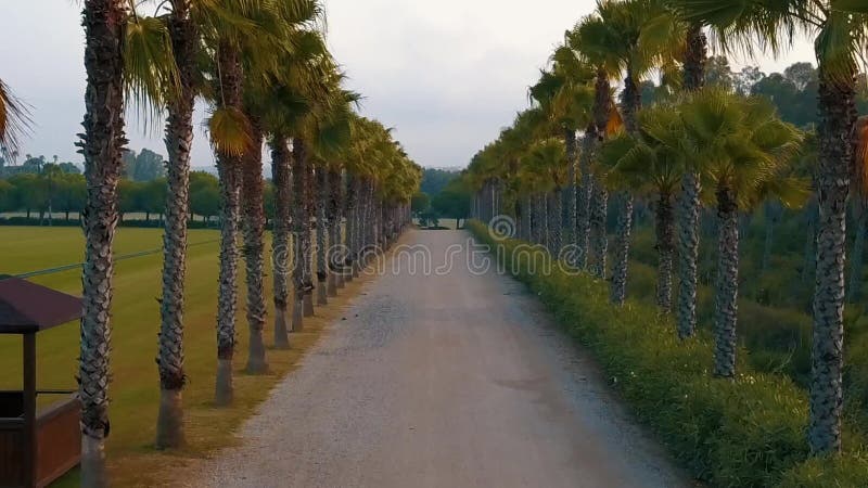 在农村路的空中飞行在与位差作用的日落