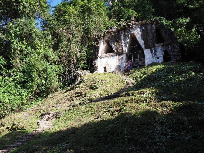 在多叶的发怒金字塔顶部的寺庙在帕伦克市古老玛雅国立公园恰帕斯州状态的在墨西哥 免版税库存图片 在多叶的发怒金字塔顶部的寺庙在帕伦克市古老玛雅国立公园恰帕斯州状态的在墨西哥 免版税库存图片