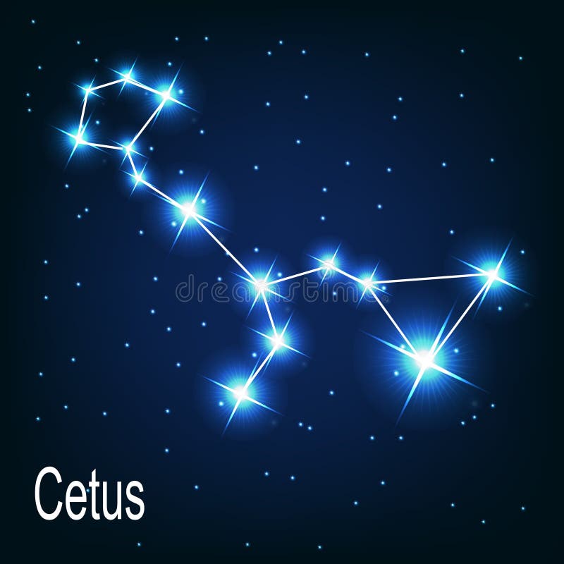在夜空的星座Cetus星。 向量例证