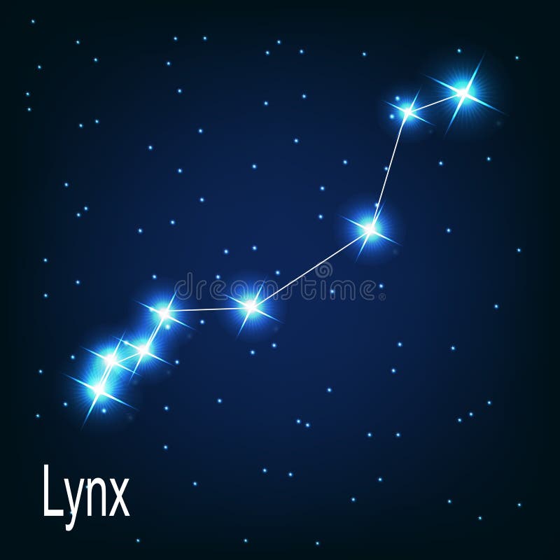 在夜空的星座天猫座星。 库存例证
