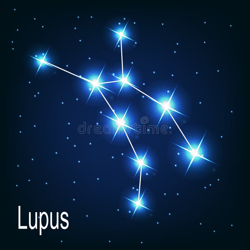 在夜空的星座狼疮星。 向量例证