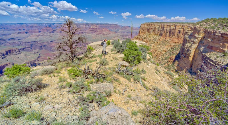 A hiker putting on a backpack before heading away from a cliff at Grand Canyon Arizona between Moran point and Zuni Point. A hiker putting on a backpack before heading away from a cliff at Grand Canyon Arizona between Moran point and Zuni Point