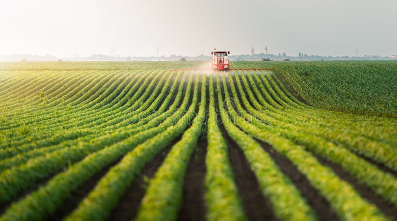 Tractor spraying pesticides at soy bean fields. Tractor spraying pesticides at soy bean fields