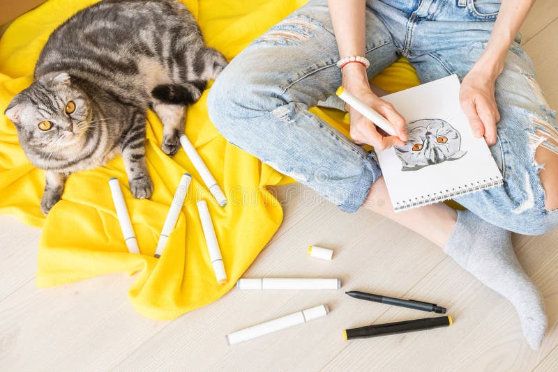 在家画画 一个穿蓝色牛仔裤的女孩画了一只灰色的黄眼猫 图库摄影