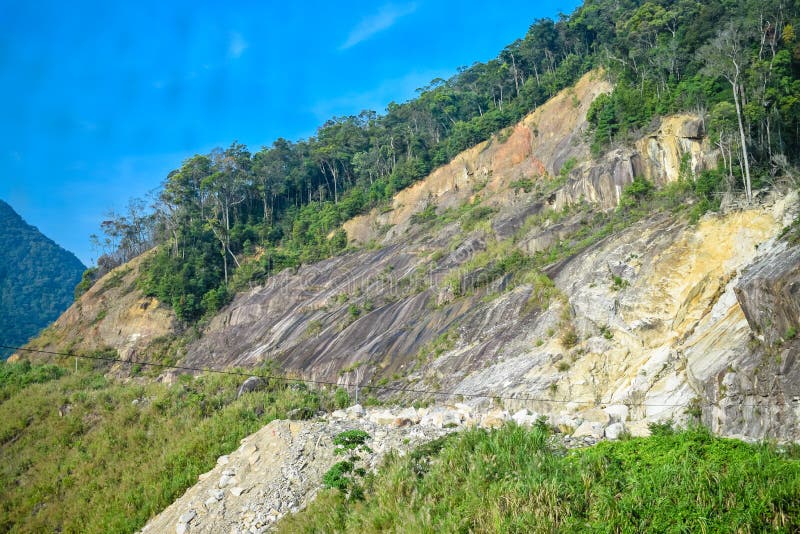在山峭壁的山崩与密林的 图库摄影 在山峭壁的山崩与密林的 图库摄影