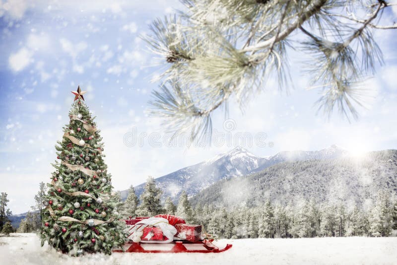 Christmas tree and Santa Claus sleigh with gifts in snowy winter outdoor scene in forest with snow-capped mountains. Christmas tree and Santa Claus sleigh with gifts in snowy winter outdoor scene in forest with snow-capped mountains