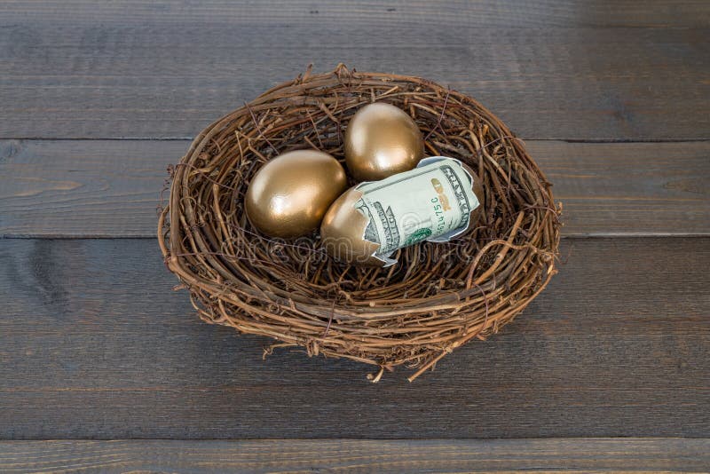 Golden eggs in nest with one egg cracked open with twenty dollar bill on wood background. Golden eggs in nest with one egg cracked open with twenty dollar bill on wood background