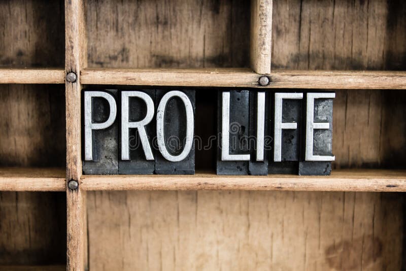 The words PRO LIFE written in vintage metal letterpress type in a wooden drawer with dividers. The words PRO LIFE written in vintage metal letterpress type in a wooden drawer with dividers.